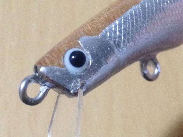 agathis lure