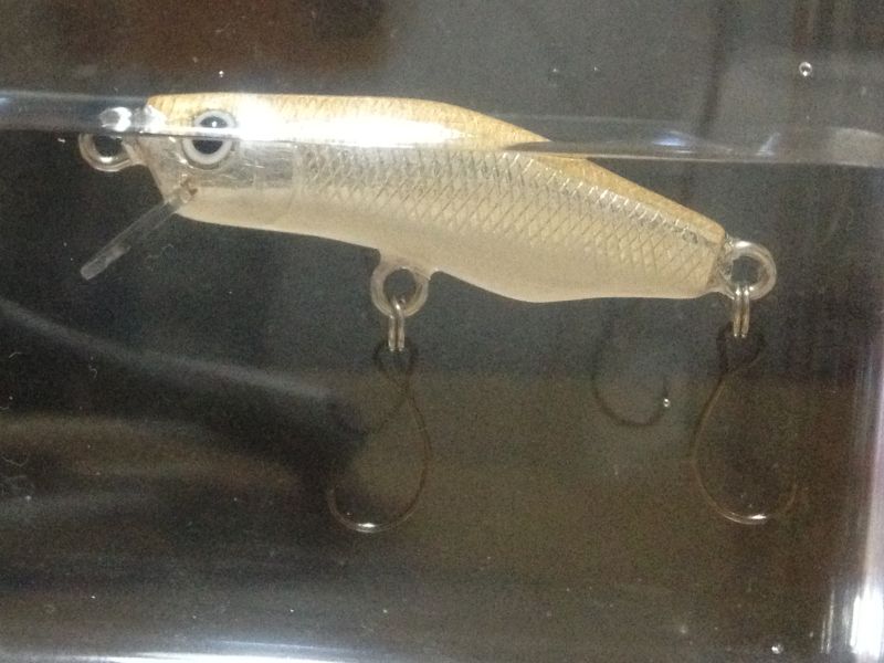 agathis lure